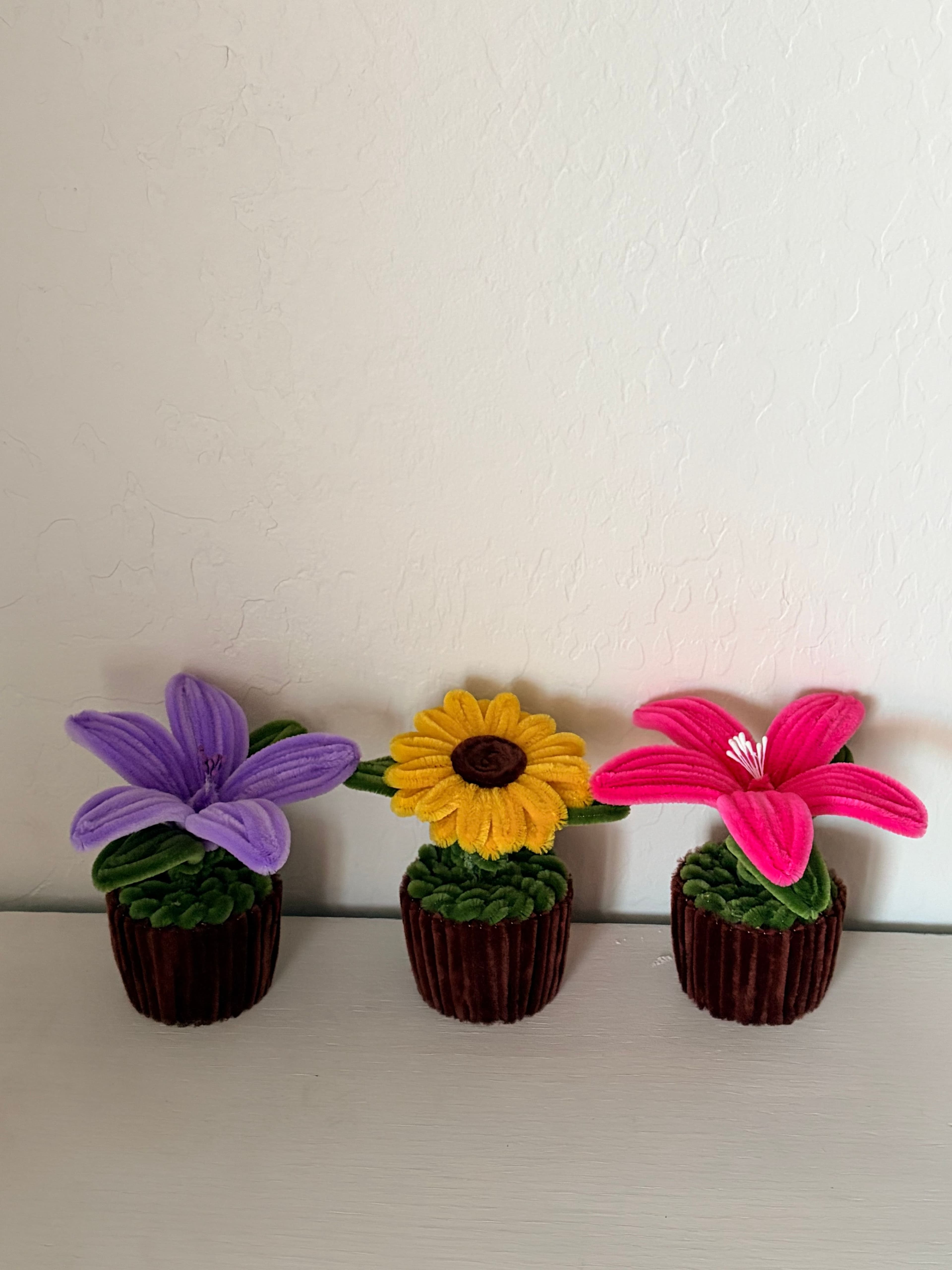 Mini Pots